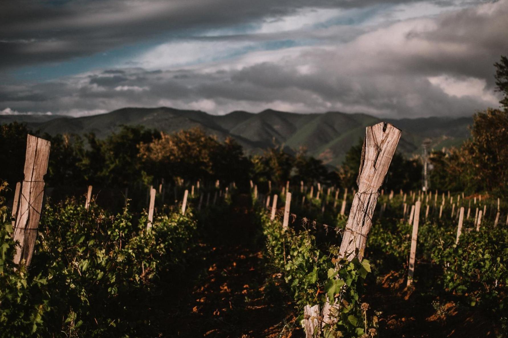 Popova Kula Hotel & Winery Demir Kapija Luaran gambar